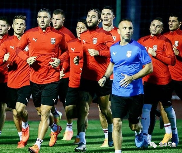 挪威逆袭塞尔维亚,小组出线前景一片光明的简单介绍 挪威逆袭塞尔维亚,小组出线前景一片光明的简单介绍