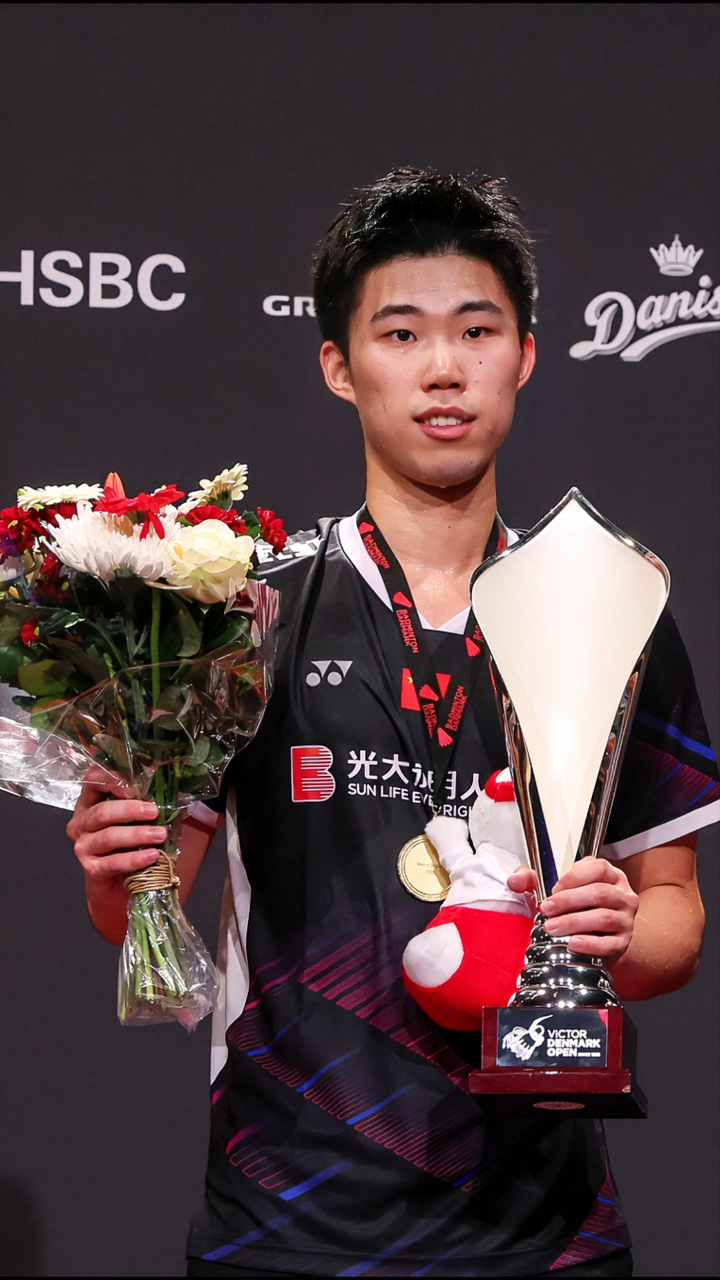 关于丹麦队横扫德国队，李梓嘉高光表现的信息