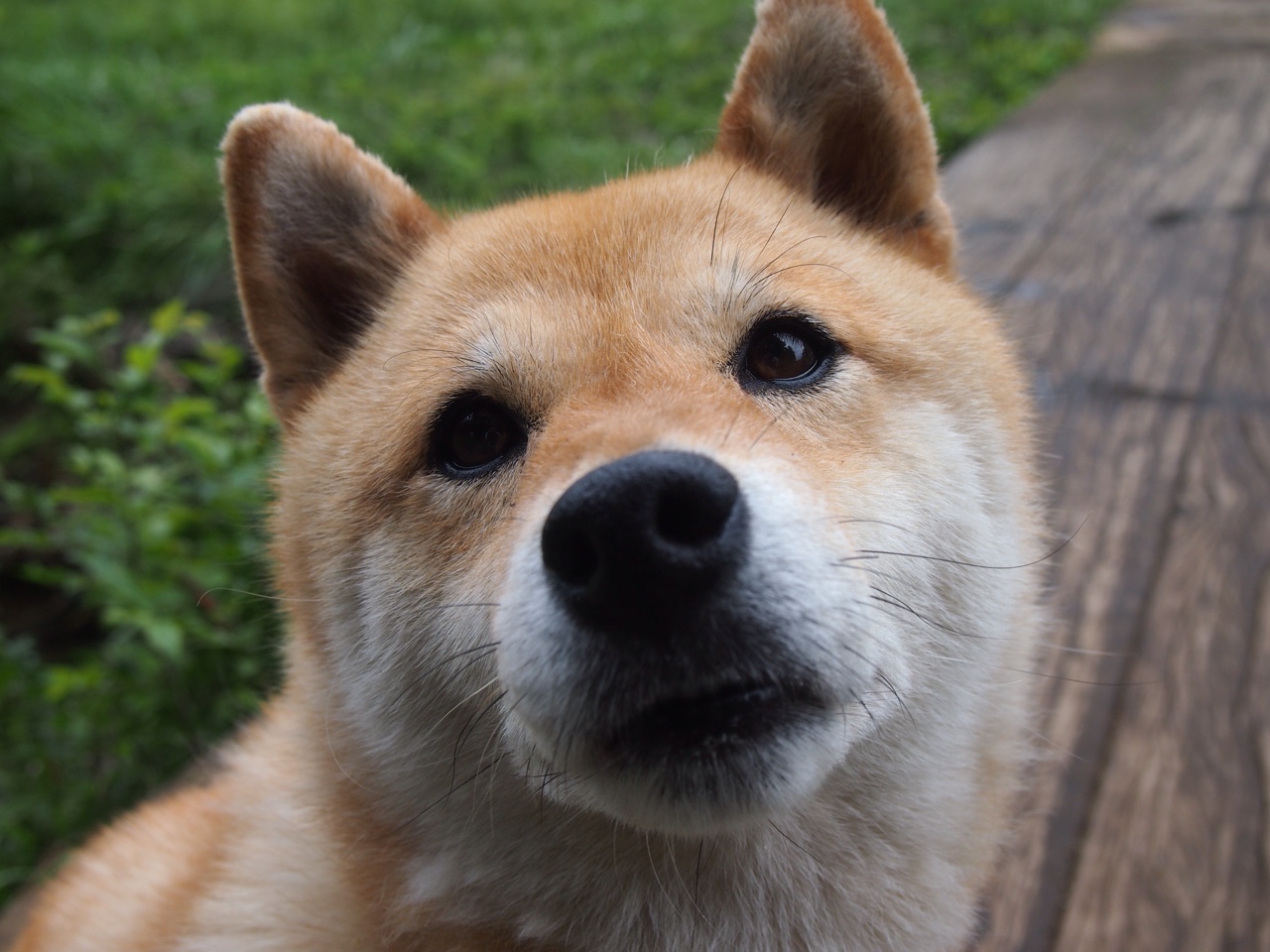 当死神挥镰，杜兰特单骑撕裂马刺铁阵，猛龙悬念仅存于开球之前