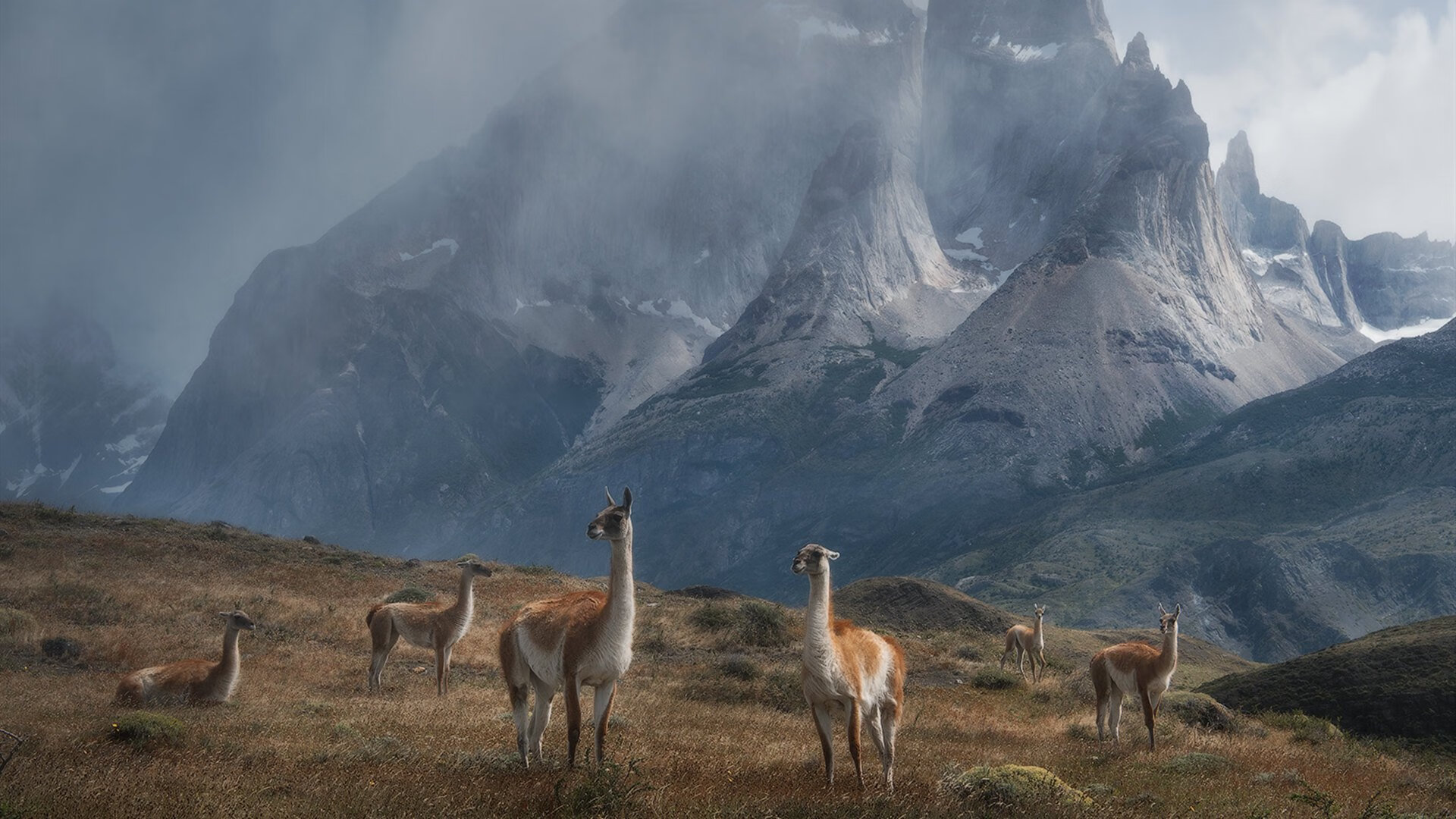 雷火电竞-唯一的旋律，武切维奇制胜一击，雄鹿冠军试金石淬火战胜掘金