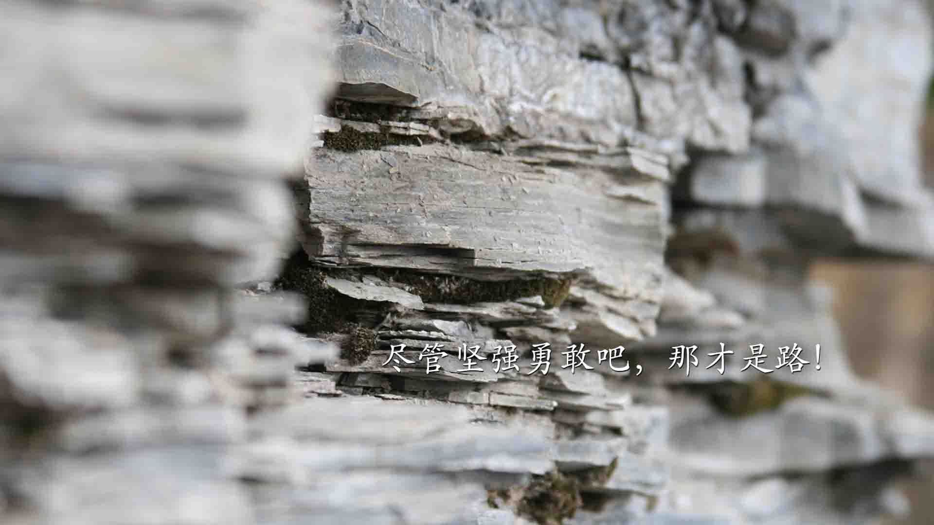 速度与激情的双重奏,F1新赛季与勇士血拼魔术的跨时空交响