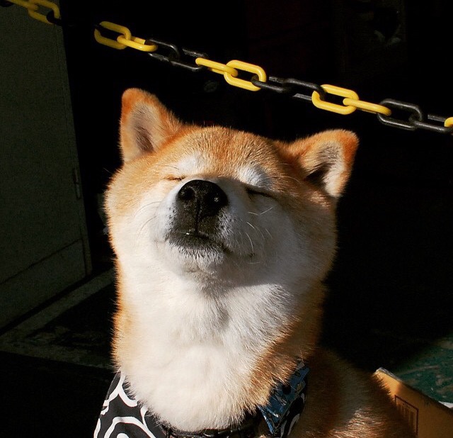 双线传奇，葡萄牙狂胜里昂之夜，莫德里奇跨界抢七接管比赛