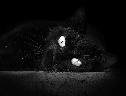 冰与火的交响，加克波的个人英雄主义与瑞士的冷酷末节