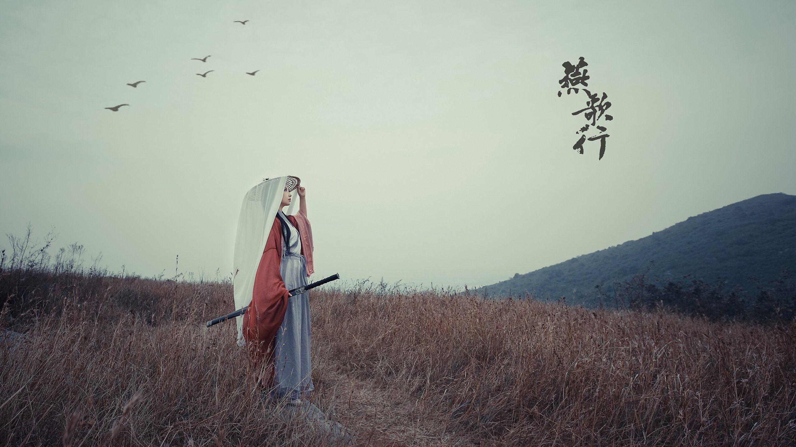 雷火电竞app-东决焦点战，热火关键战突围灰熊的战术与意志