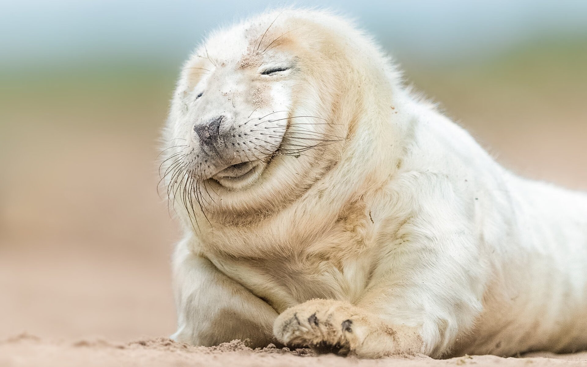 雷火电竞网址-跨越疆界的对决，当NBA爵士客串鏖战CBA吉林队