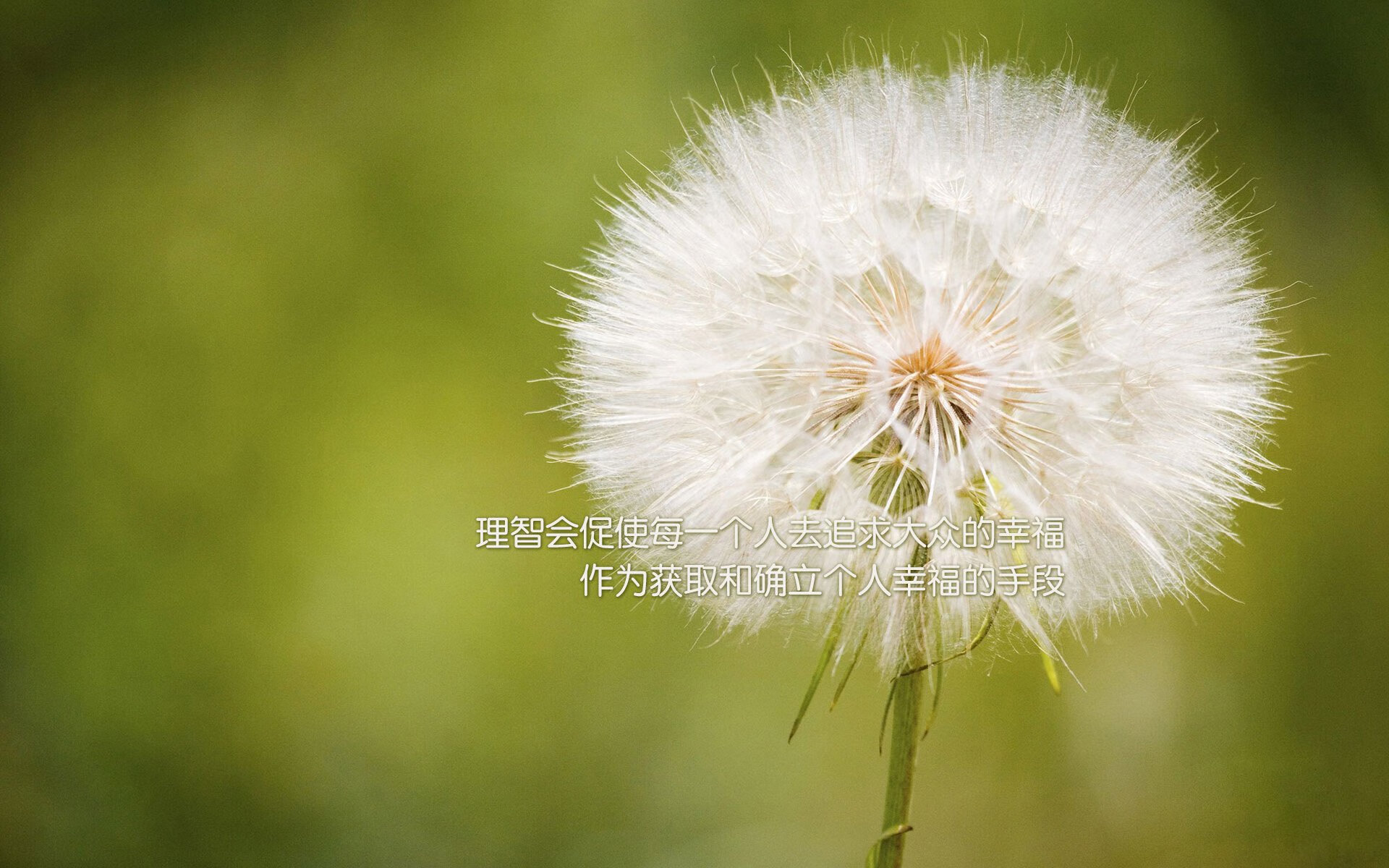 雷火电竞充值-战术教科书！浙江队精妙布局压制掘金，德罗赞攻防两端全程高能输出