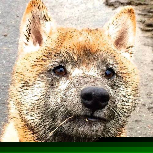 雷火电竞下载-奥利维耶的钥匙，一场非典型胜利，解锁皇马硬骨头迷局