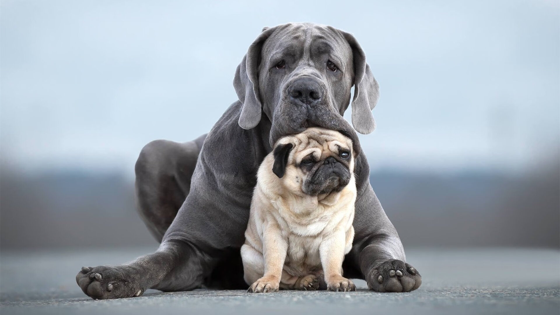 雷火电竞-当钢铁巨兽遇见芭蕾舞者，拉梅洛在F1街道赛之夜的唯一性存在