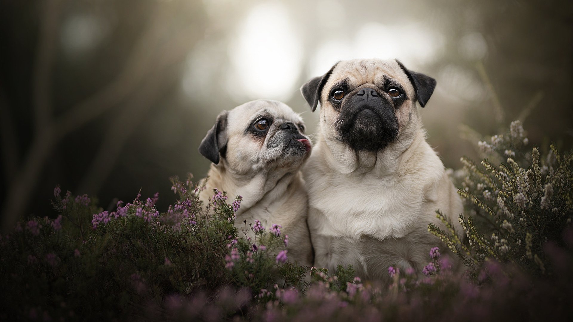 解题思路，当克罗地亚绞肉机遇上法兰西浪漫，德布劳内的手术刀是唯一答案