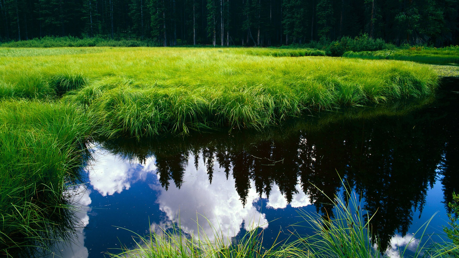 雷火电竞官网-大场面先生利拉德，当浙江队遭遇迈阿密热火