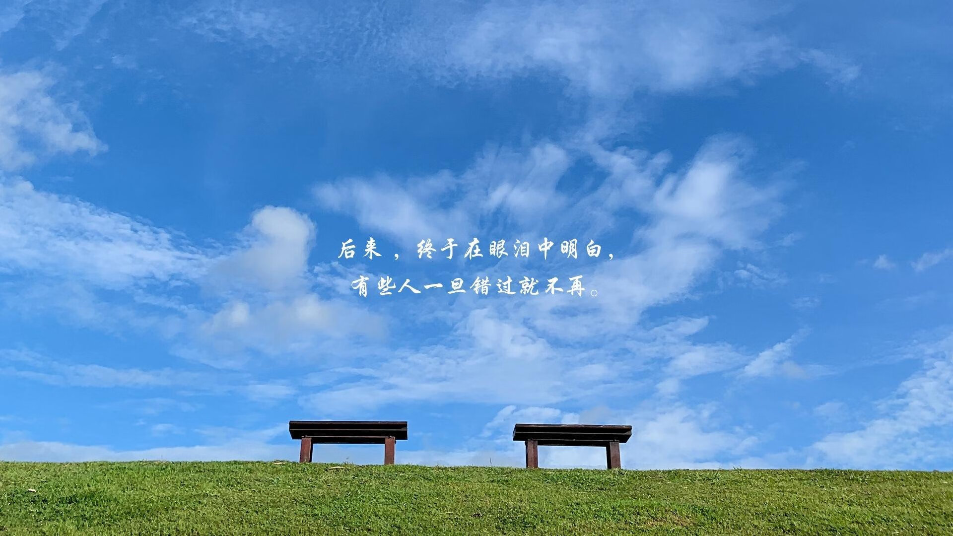 冷门之夜，2026世界杯E组关键战，乌兹别克斯坦奇迹击败阿根廷，卢卡库火热状态引领胜利