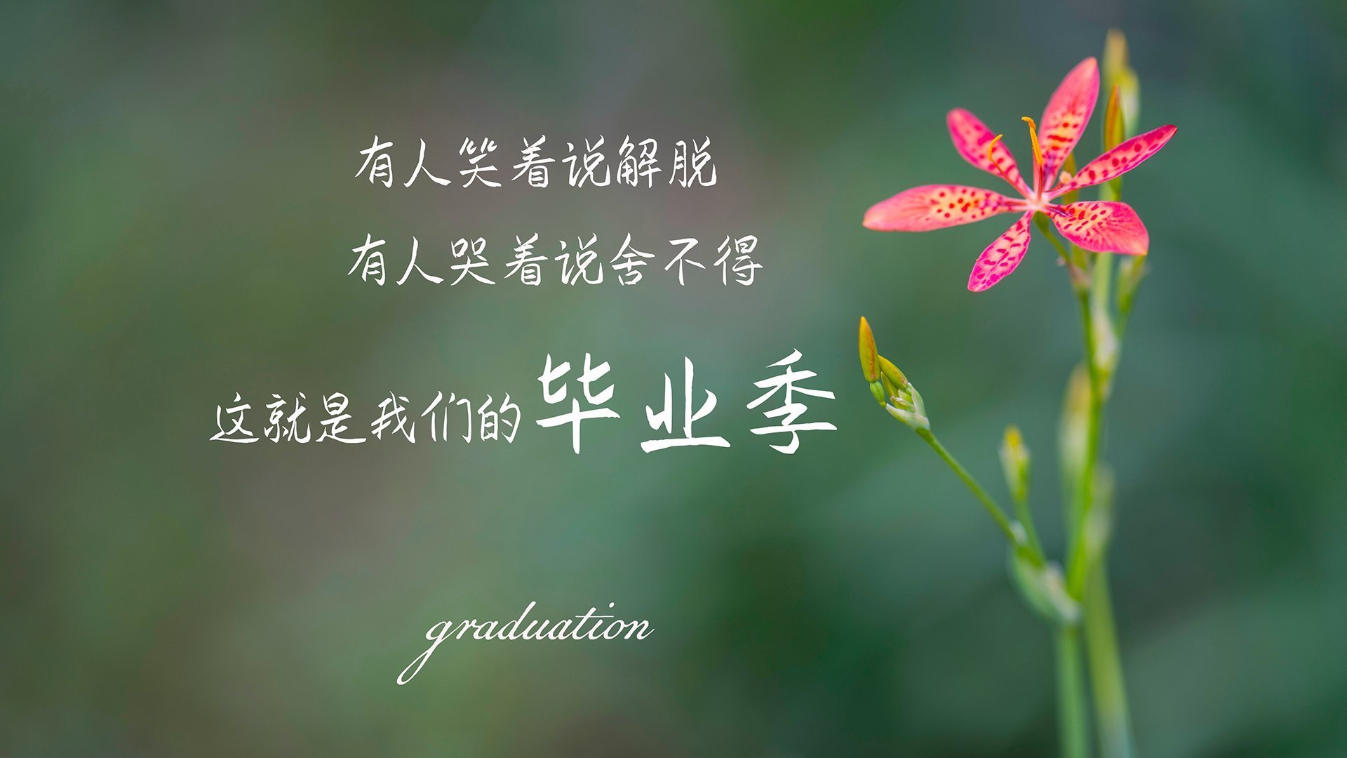 门神定乾坤，库尔图瓦一夫当关，美国攻势在突尼斯铁壁前碎成泡影