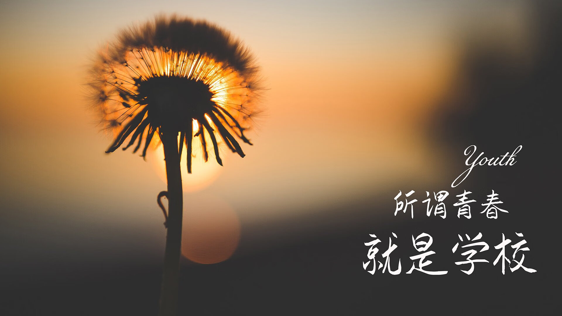 雷火电竞-绿茵场上的唯一剧本，当世界杯关键战遇见印度风暴与哈基米时刻