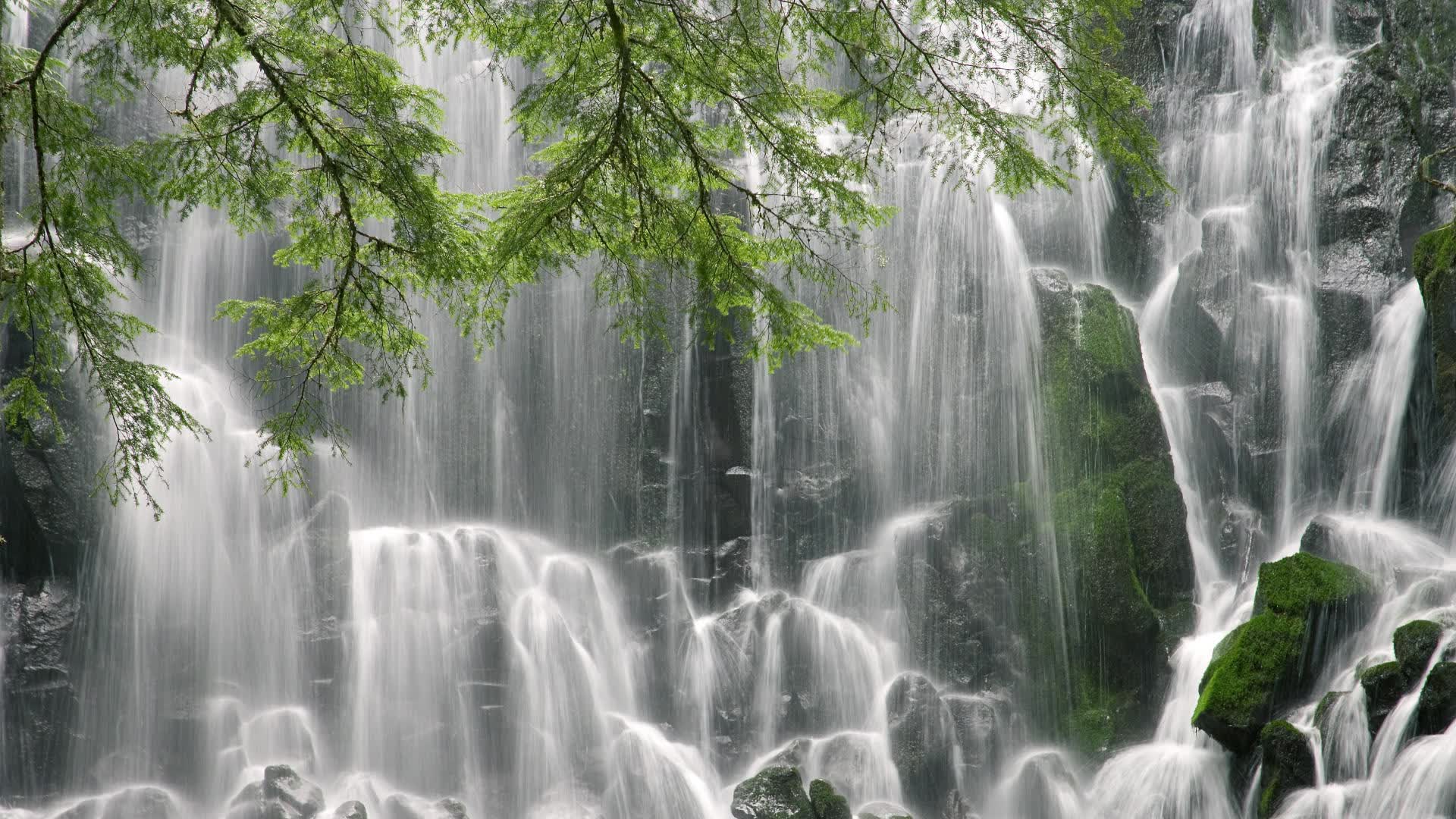 绿茵幻梦,当越南碾压阿根廷,努涅斯的致命一击敲响2026世界杯的惊世警钟