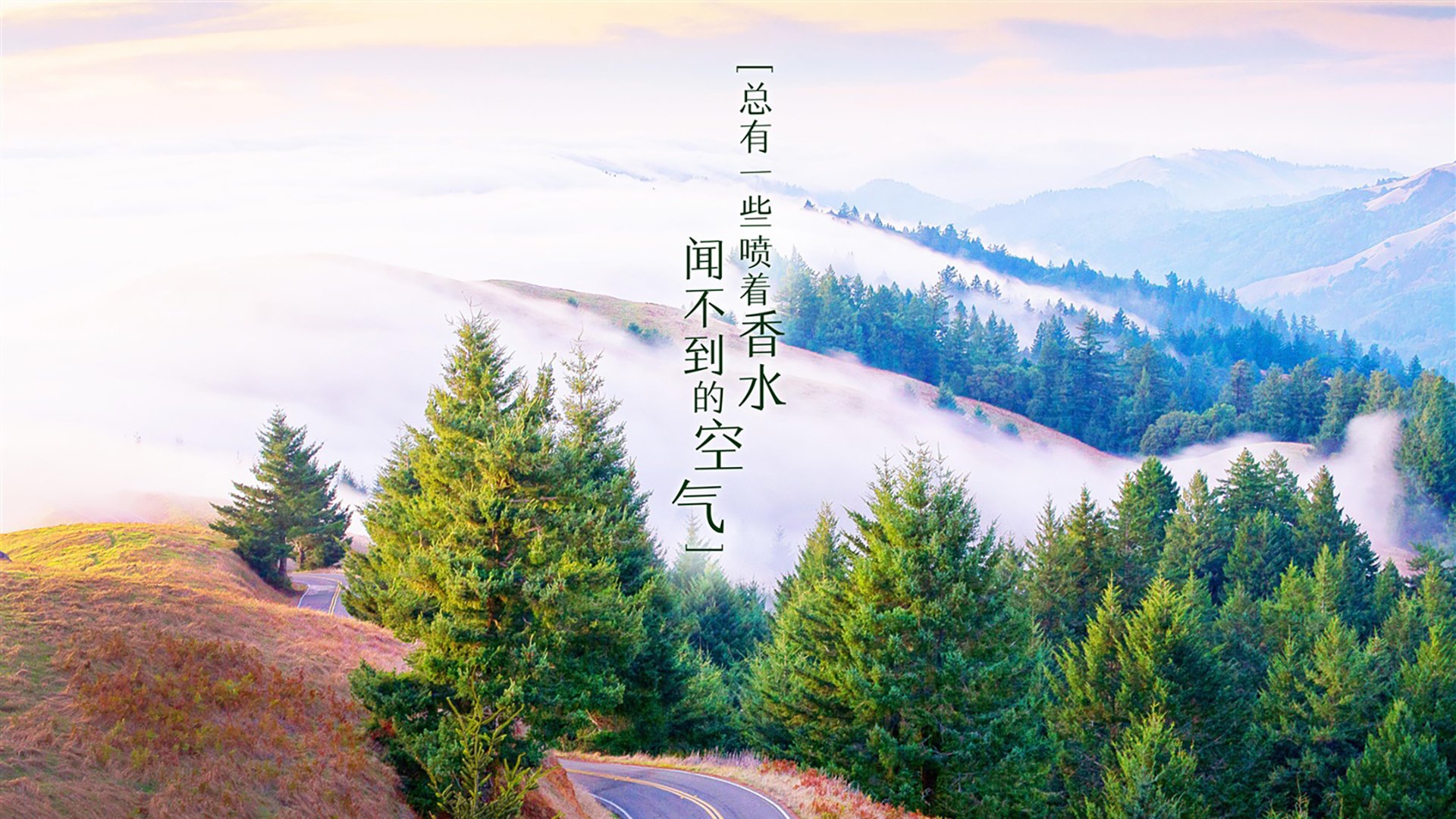雷火电竞网站-生死一线间，当萨卡的速度撕裂加纳的防线，塞尔维亚在2026世界杯上演最锋利的反击