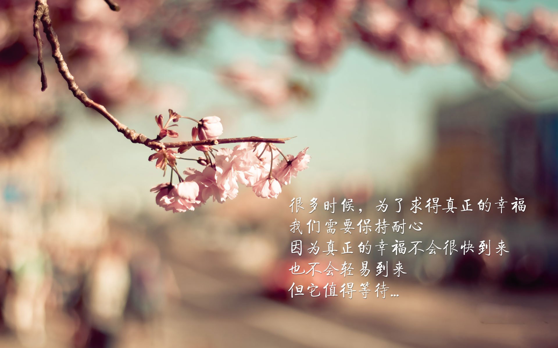 北境之光与东瀛之刃,当吉鲁的最后探戈撕裂赫尔辛基的夜空